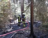 24.07. 15:41 Uhr Einsatz 16/13: Waldbrand K9204 Großröhrsdorf - S95, der Brand kann schnell gelöscht werden